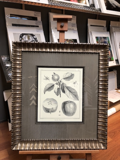 An antique print framed in a silver Bellini frame with double mat board surround and fillet with UV glass.
