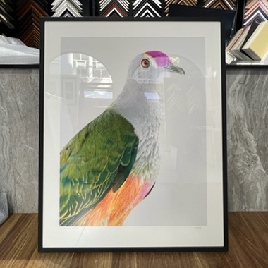 A creative interior stylist who works for an upcoming 5-star hotel in Melbourne asked us to frame many artworks, including this stunning bird print. We framed it in a black frame with a white matboard and Perspex cover for a simple yet contemporary look.